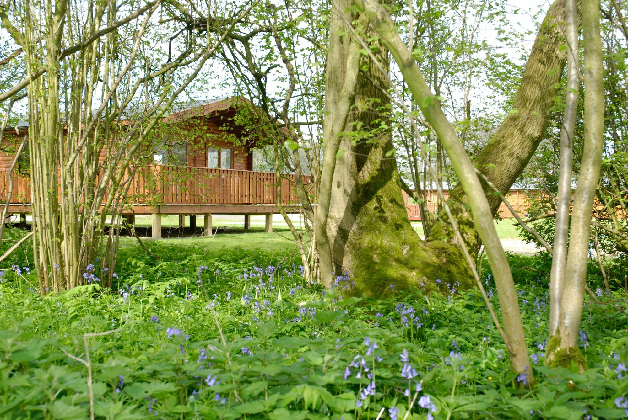 South Winchester Lodges Buitenkant foto
